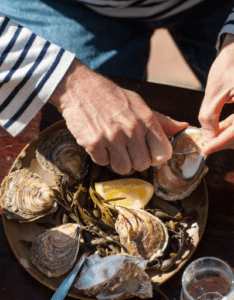 degustation-d-huitres-800x533_large_rwd